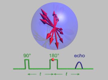 Out-of-Time-Order Correlator (OTOC) Algoritması