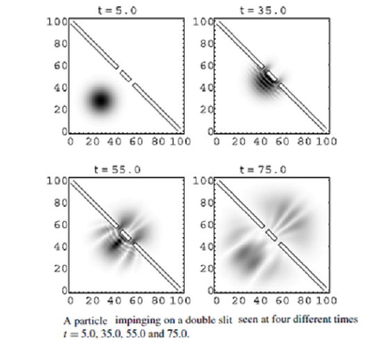 Kuantum Eğitim & Danışmanlık